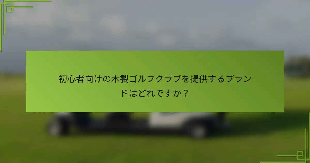 初心者向けの木製ゴルフクラブを提供するブランドはどれですか？