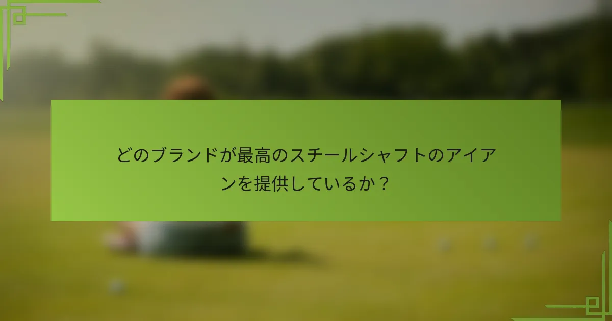 どのブランドが最高のスチールシャフトのアイアンを提供しているか？