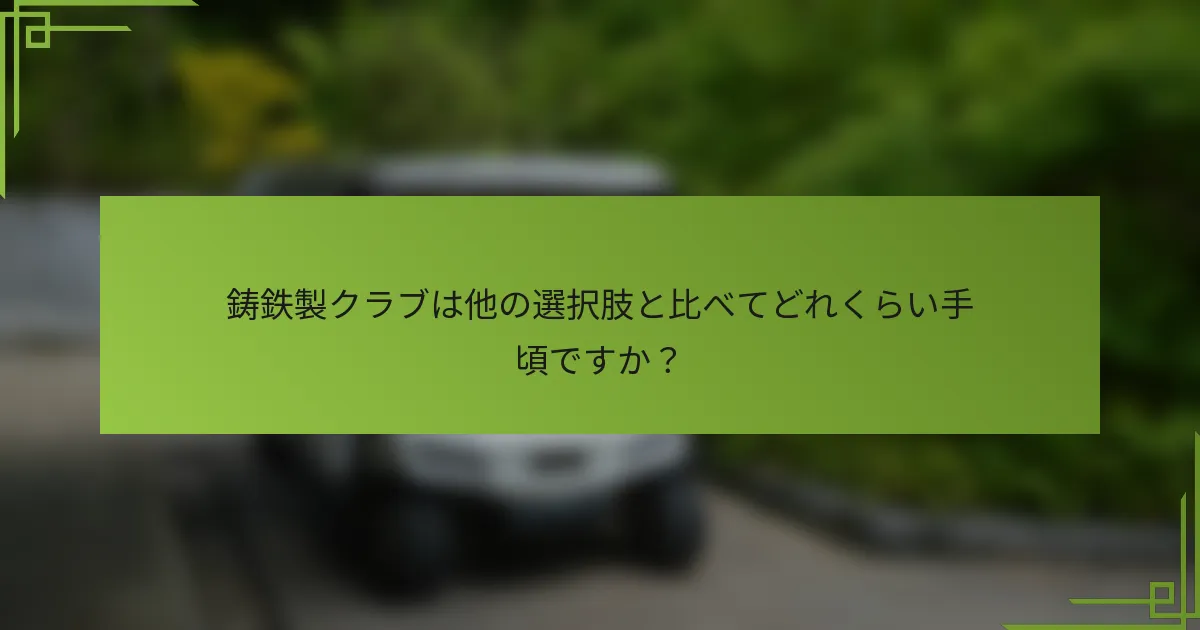 鋳鉄製クラブは他の選択肢と比べてどれくらい手頃ですか？